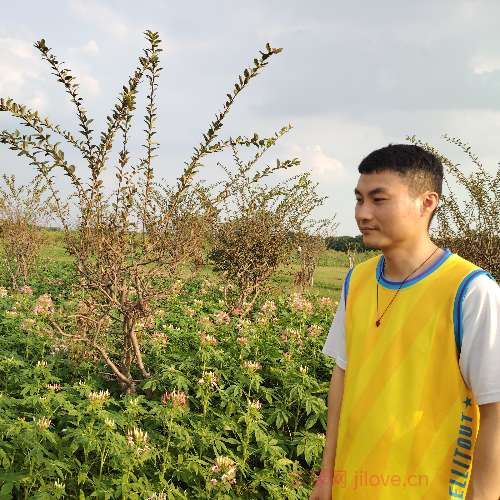 37岁岁广东单身帅哥 - 鄂尔多斯吉缘网
